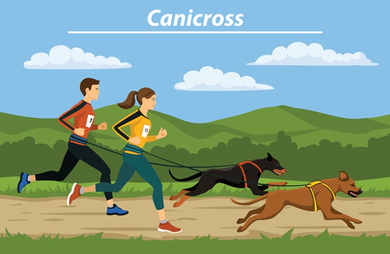 ILLUSTRATION OF COUPLE DOING CARNICROSS