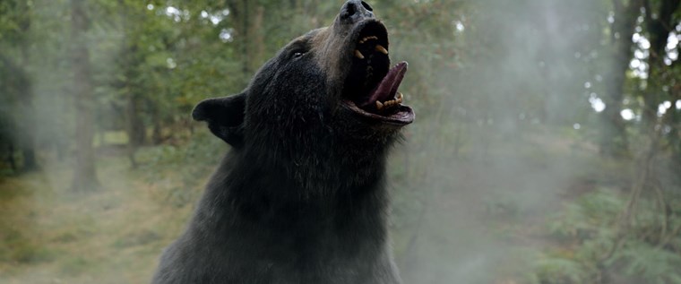 COCAINE BEAR