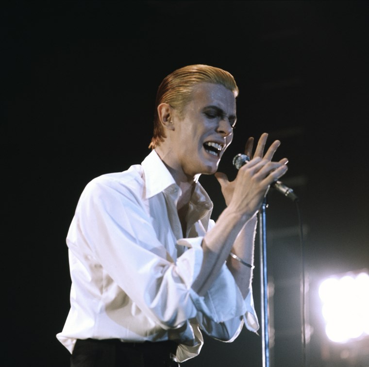 David Bowie Thin White Duke