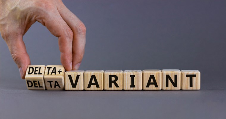 Τι ακριβώς είναι η μετάλλαξη Δέλτα Plus