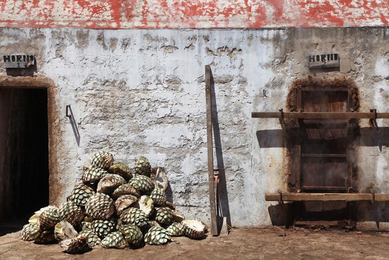 3 μεξικάνικα spirits που δεν είναι τεκίλα ή mezcal