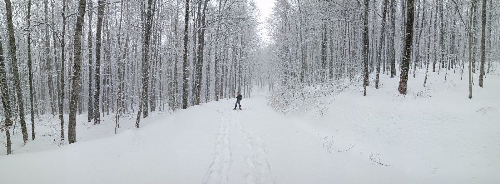 Malathro Olympus Guest House