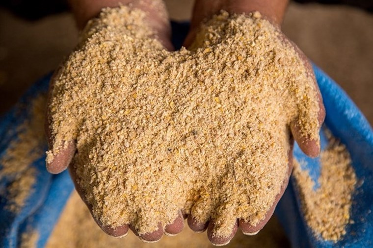 Ευβιότοποι