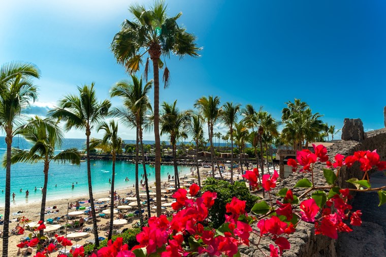 Las Palmas