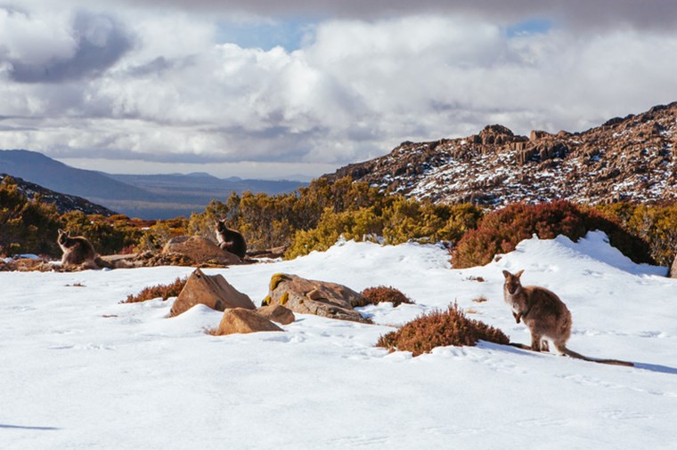 BEN LOMOND SKI RESORT TASMANIA