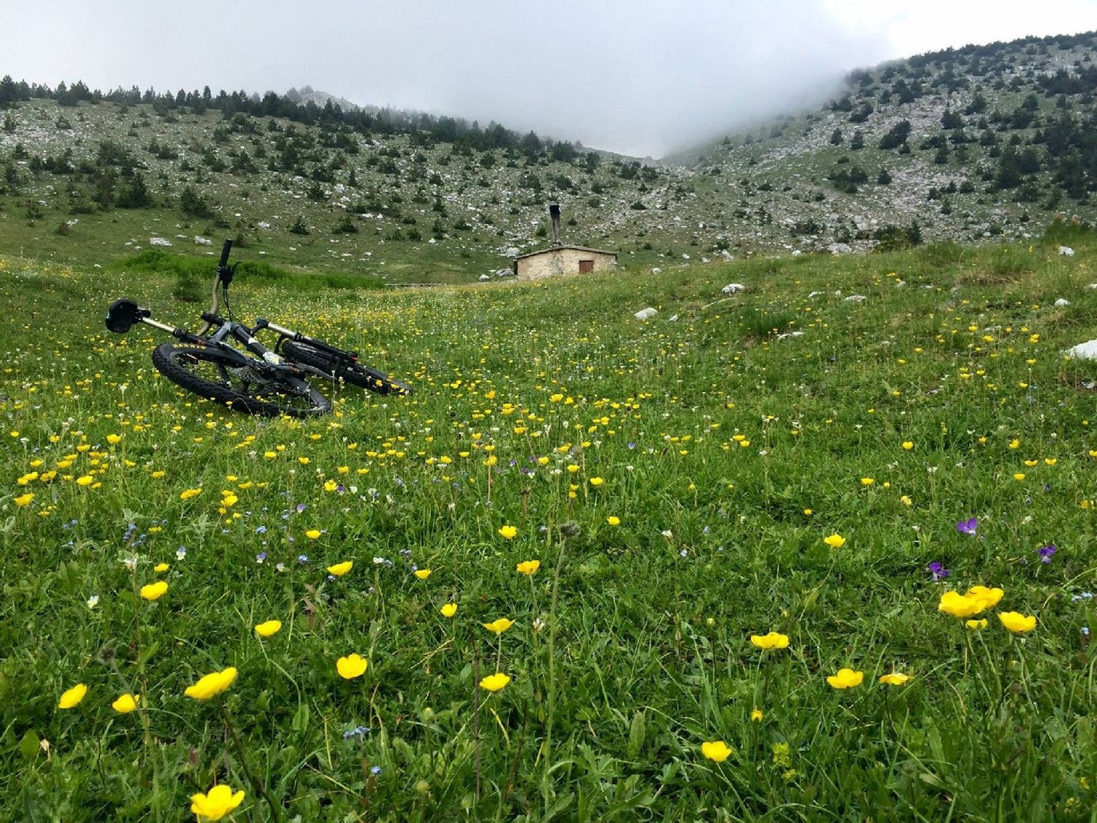 Εξόρμηση στο βουνό των θεών