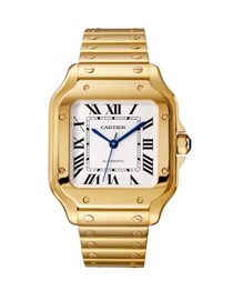 ΧΡΥΣΑ ΡΟΛΟΓΙΑ