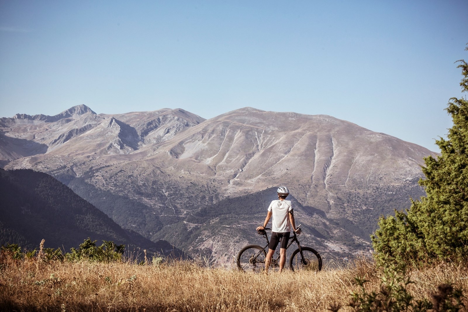 Grand Forest Metsovo: Η ελληνική κορυφή της παγκόσμιας φιλοξενίας