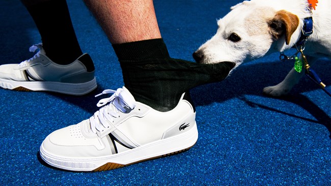 Η Lacoste και τα iconic sneakers που φοριούνται παντού
