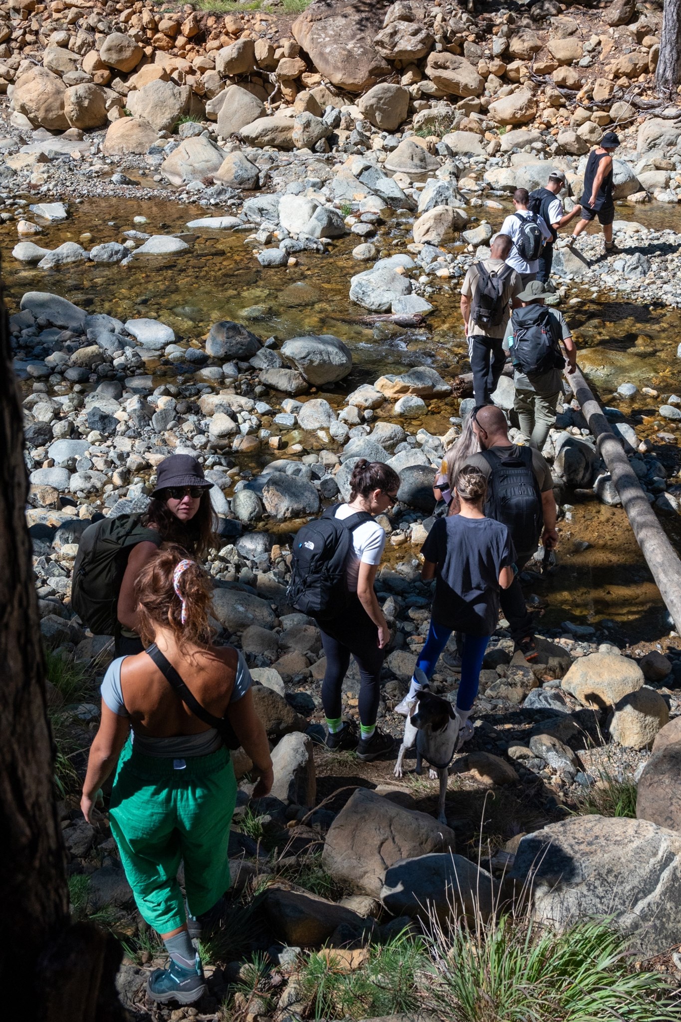 Live on top_5 Κορυφές 5