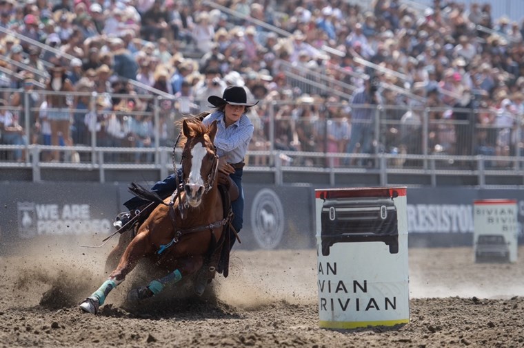 Desert Rodeo 1
