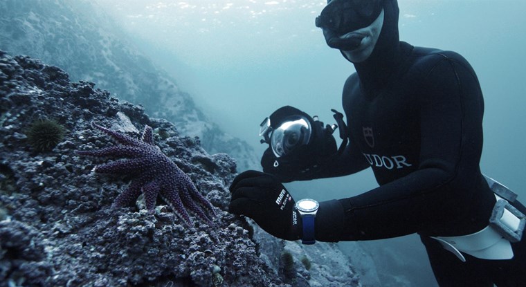 O Morgan Bourc'his και το Pelagos της Tudor στα νορβηγικά φιορδ