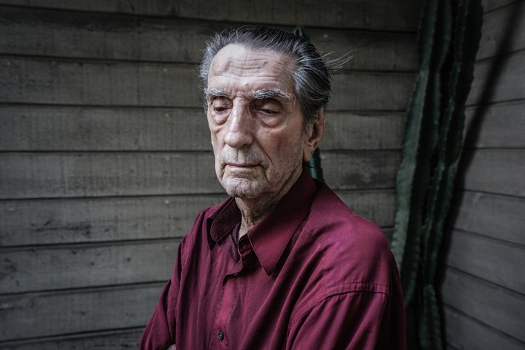 Harry Dean Stanton 11