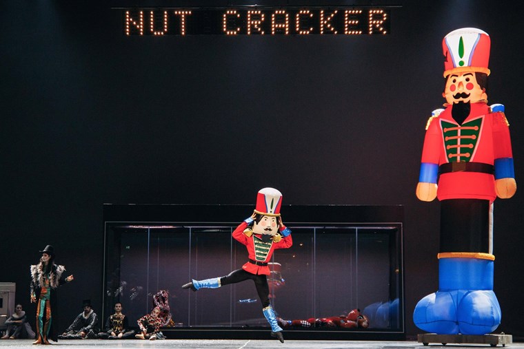 ΚΑΡΥΟΘΡΑΥΣΤΗΣ - ΕΛΣ