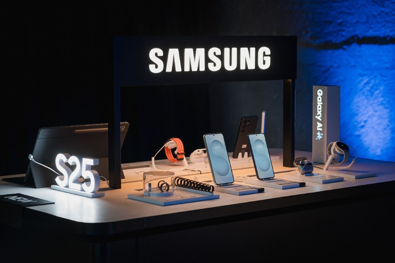 Samsung Galaxy S25