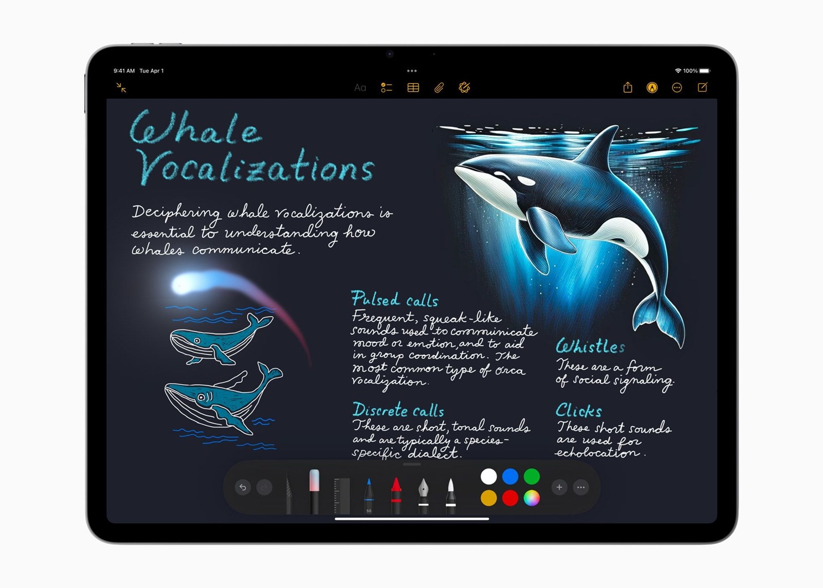 iPad Air