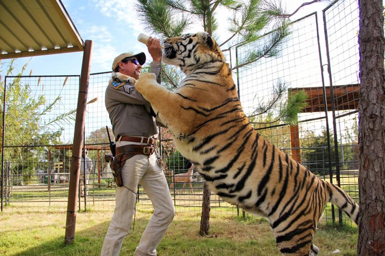 Tiger King: Murder, Mayhem and Madness, το πιο τρελό ντοκιμαντέρ του Netflix