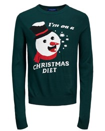 ΧΡΙΣΤΟΥΓΕΝΝΙΑΤΙΚΑ ΠΟΥΛΟΒΕΡ