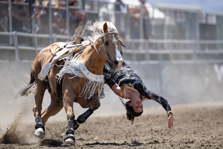 Desert Rodeo 7