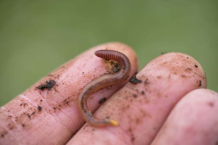 Μία ματιά στον διπλασιασμό της διάρκειας της ανθρώπινης ζωής