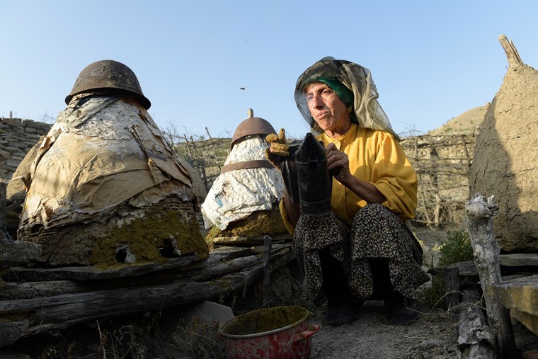 Ποιο είναι το Honeyland που είναι υποψήφιο σε δύο κατηγορίες για Όσκαρ