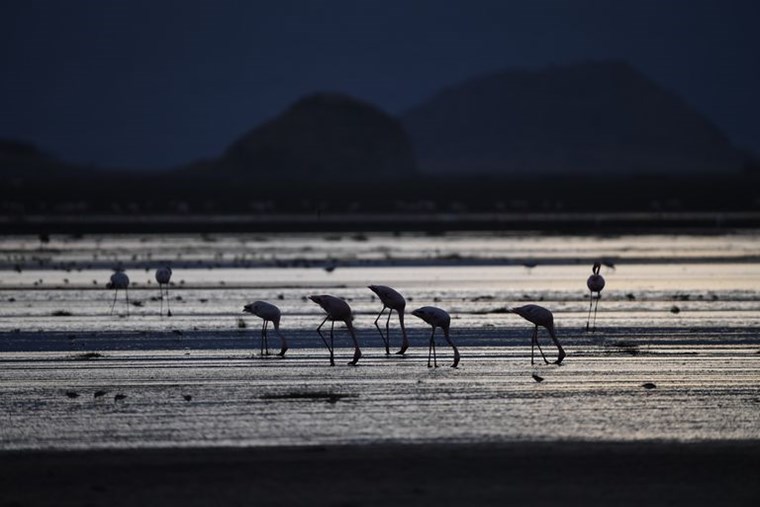 LAKE NATRON