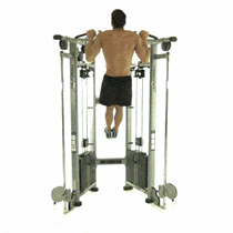 Οι 3 κινήσεις του Terry Crews για σιδερένια μπράτσα