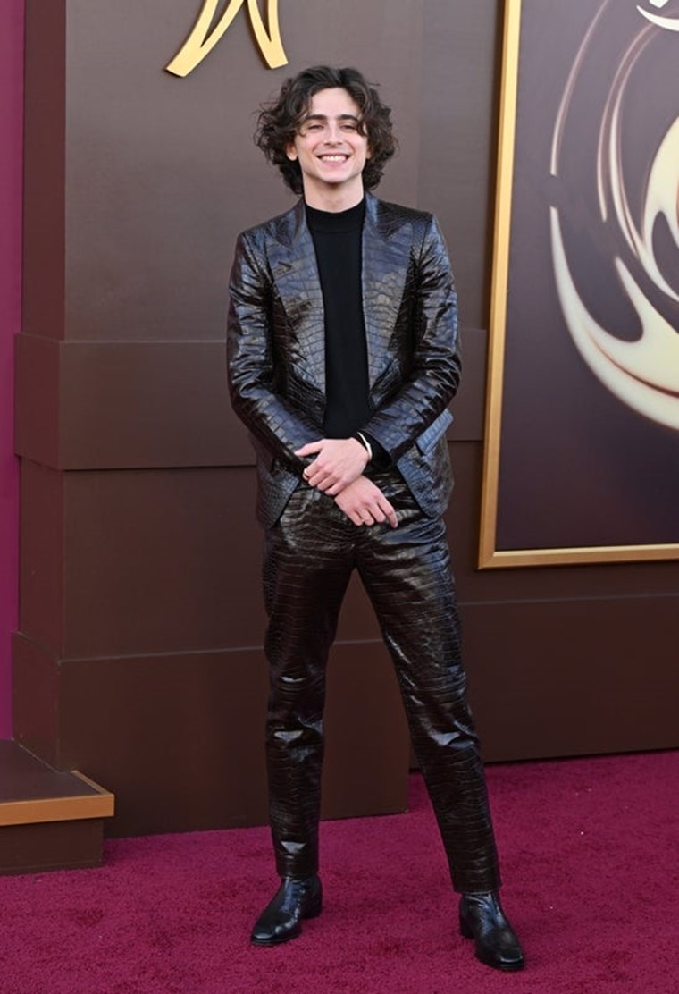 Εσύ θα φορούσες το κροκό κοστούμι του Timothée Chalamet;