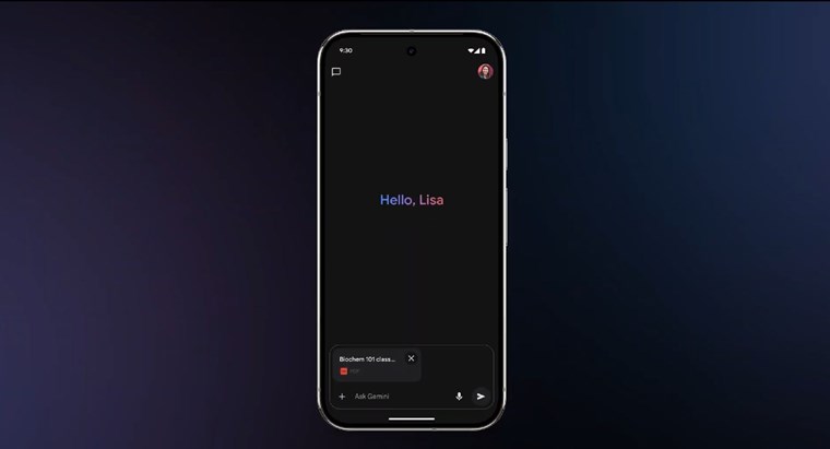 Google Gemini