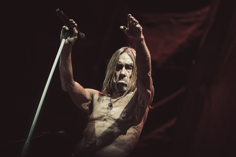 Iggy Pop 3