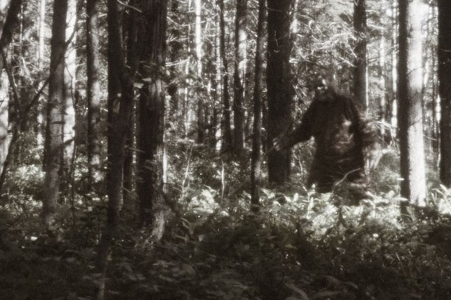 Bigfoot