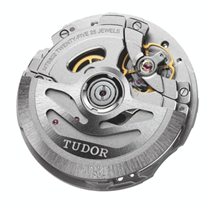 tudor