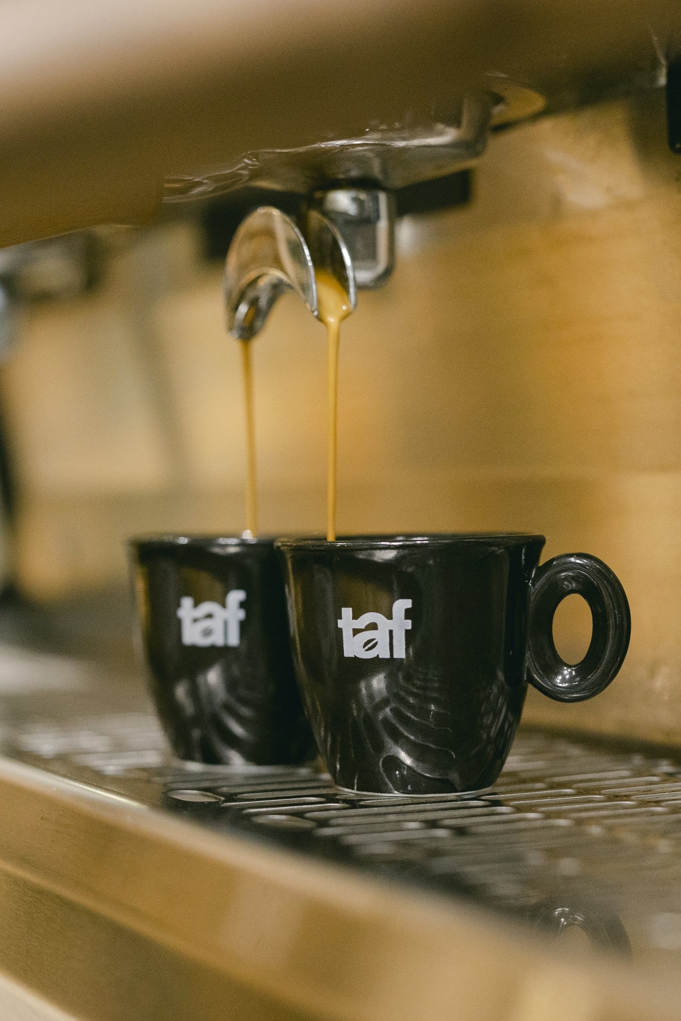 Γιάννης Ταλούμης Taf 19