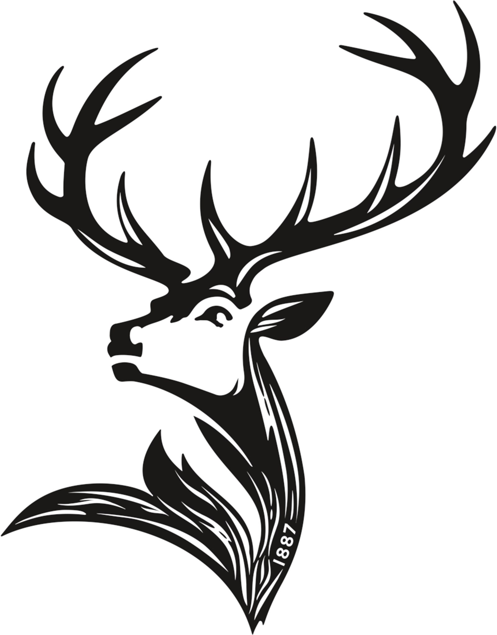 Stag