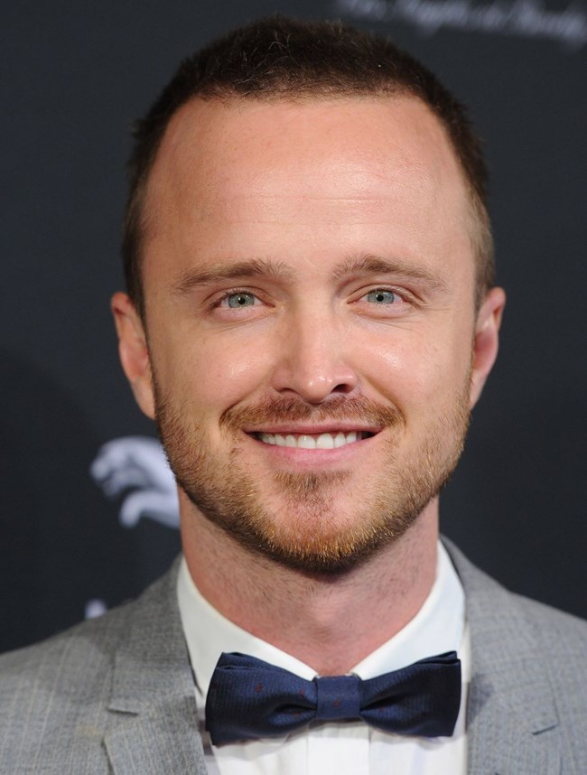 Aaron Paul