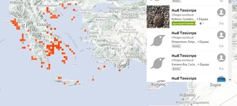 Μωβ μέδουσες: Ο χάρτης με τις πιο επικίνδυνες παραλίες