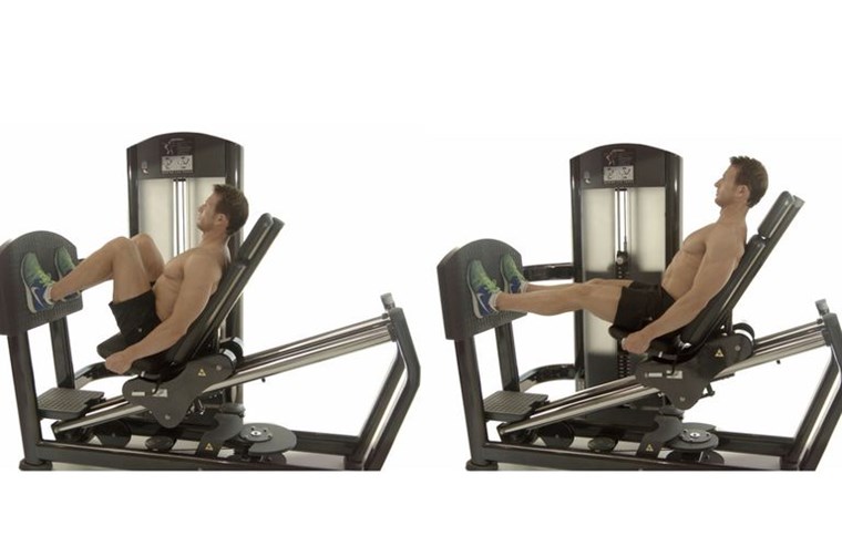 LEG PRESS