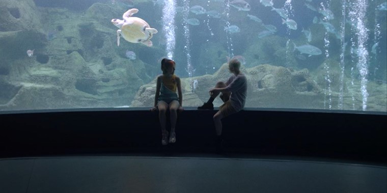 Enomena_ertflix