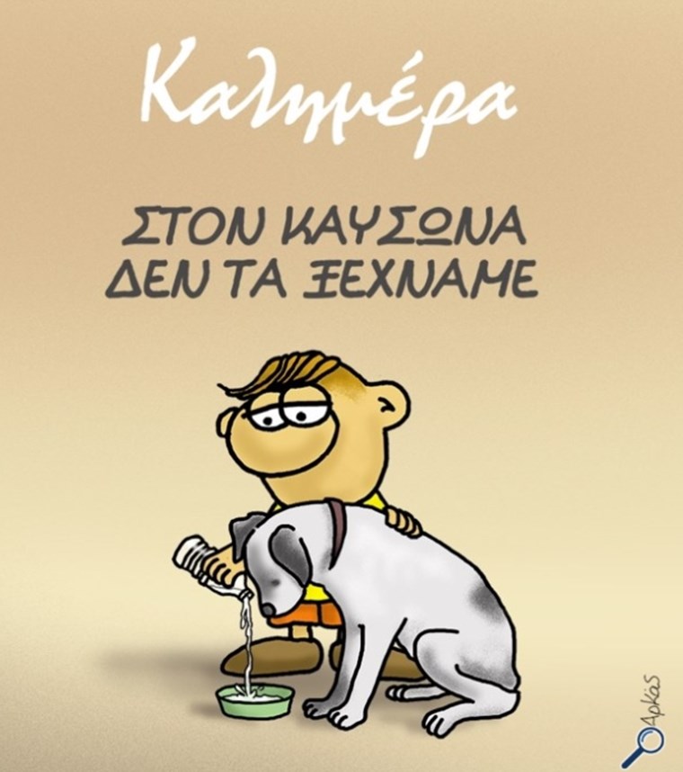 To εύστοχο σκίτσο του Αρκά για τα αδέσποτα τις ημέρες του καύσωνα