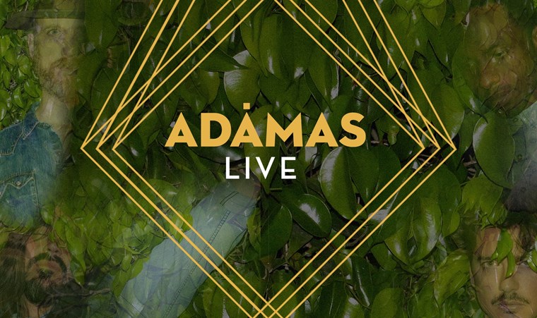 Adamas Live