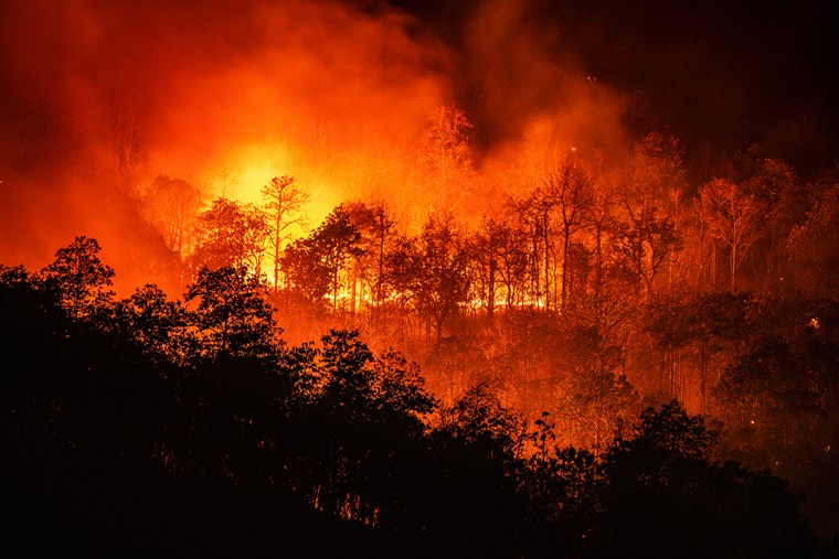 COP26 ΚΛΙΜΑΤΙΚΗ ΑΛΛΑΓΗ ΠΥΡΚΑΓΙΑ ΣΕ ΔΑΣΙΚΗ ΕΚΤΑΣΗ