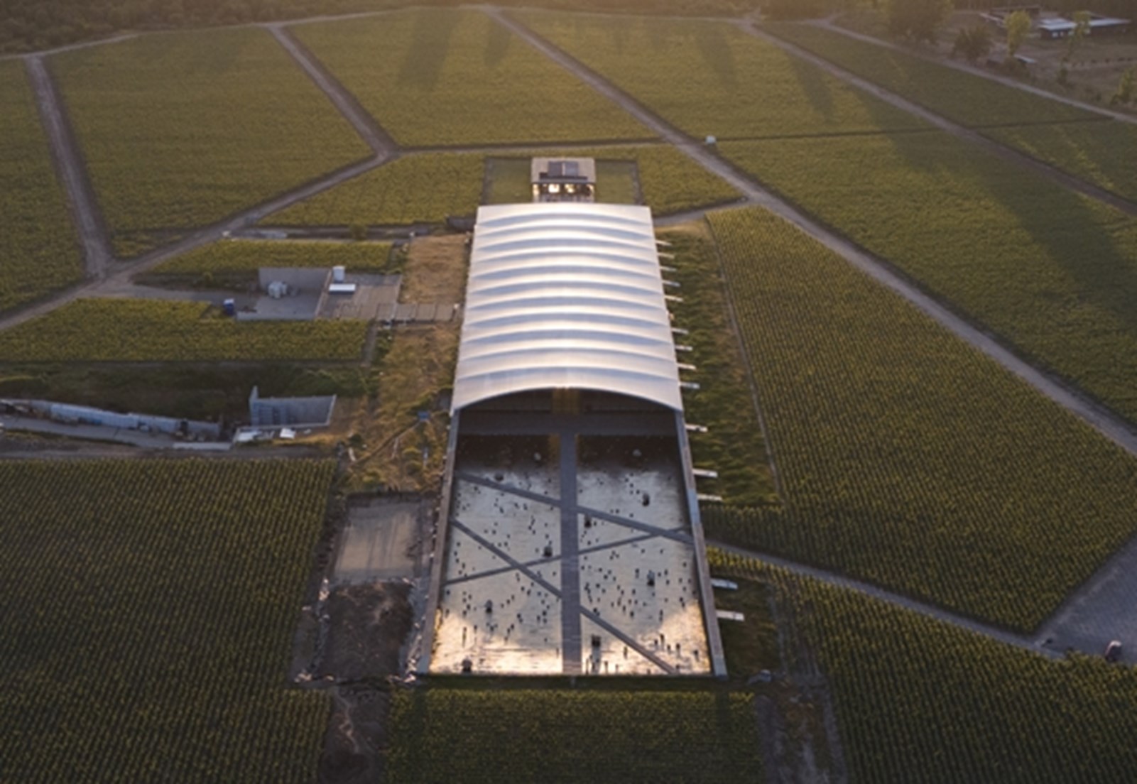 Το καλύτερο οινοποιείο του κόσμου, το Vik 2