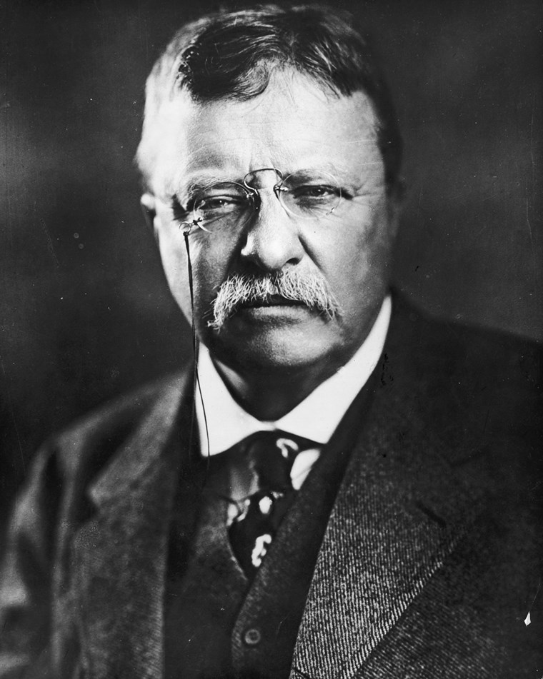 10 ιστορικές αλήθειες για τον Theodore Roosevelt