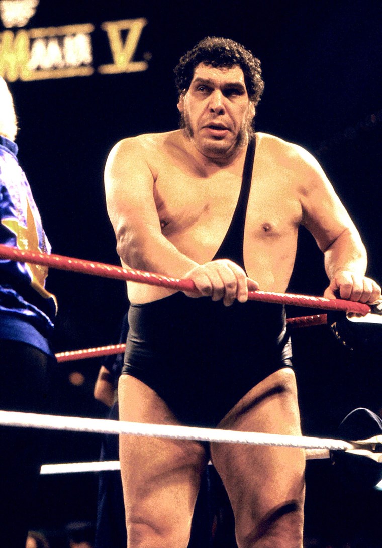 WWE Andre the Giant