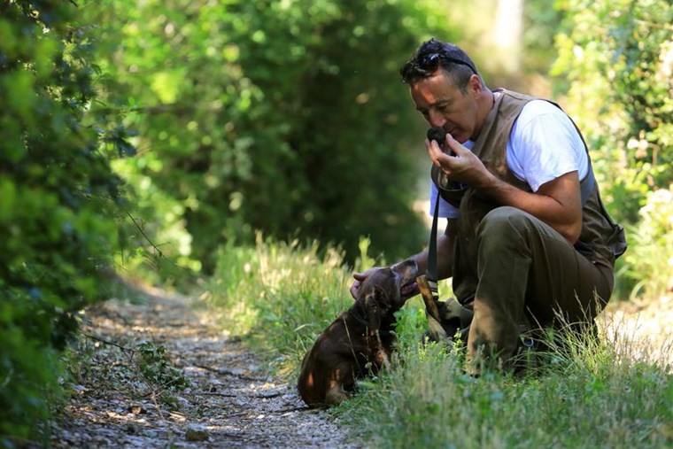 Όλα όσα πρέπει να γνωρίζεις για την τρούφα πριν την χρησιμοποιήσεις οπουδήποτε