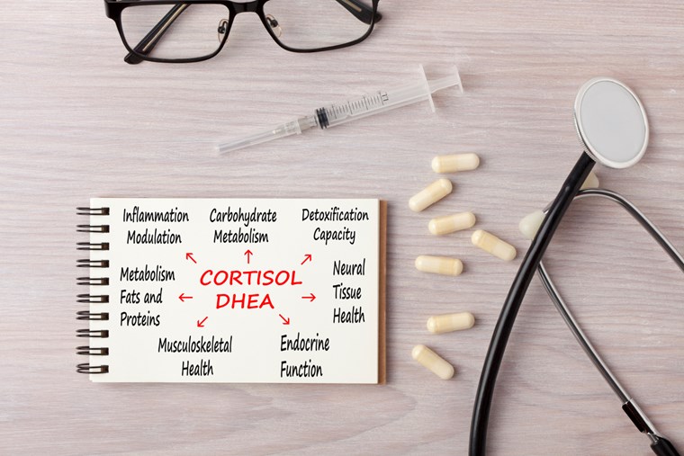 CORTISOL