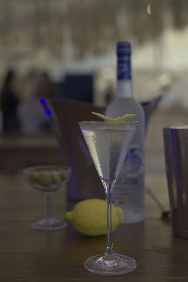 Απολαύσαμε παγωμένο Grey Goose Martini και μυηθήκαμε στα μυστικά του κάτω από τα Πυρηναία Όρη