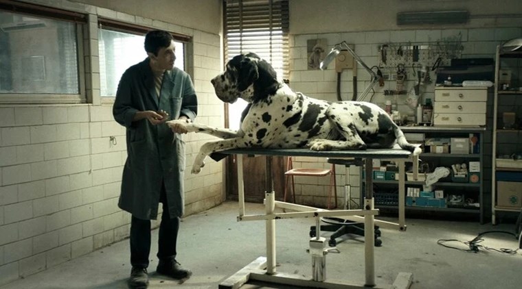 dogman