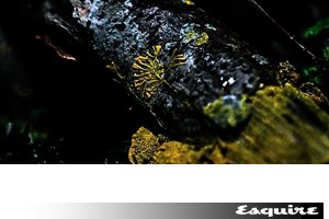 Γιατί μόνο ένας στους έξι Ιάπωνες έχει διαβητήριο