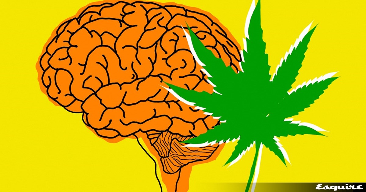 Οι χρήστες κάνναβης έχουν 4 φορές μεγαλύτερες πιθανότητες για διαβήτη